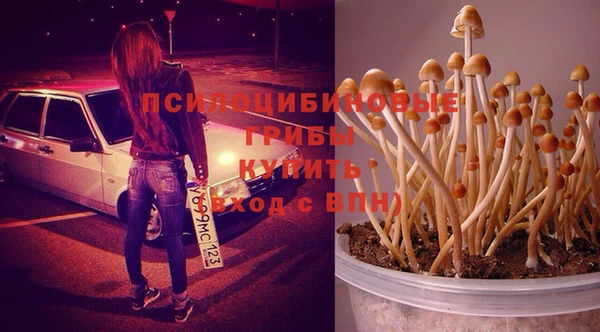 соль ск Снежинск