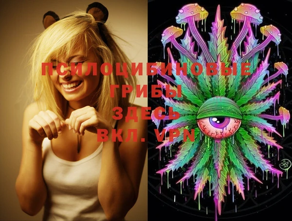 соль ск Снежинск