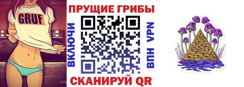 Купить  Городище  Псилоцибиновые грибы Psilocybine cubensis 